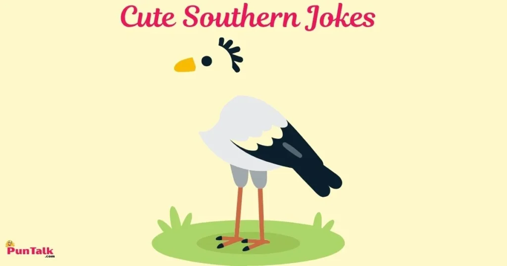 Cute Southern Jokes