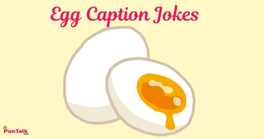Egg Caption Jokes