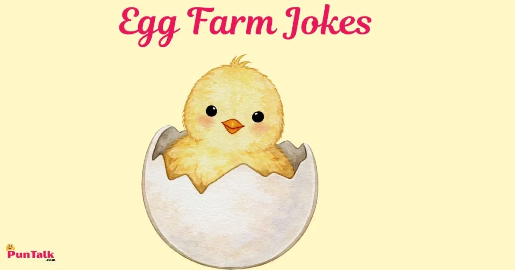Egg Farm Jokes