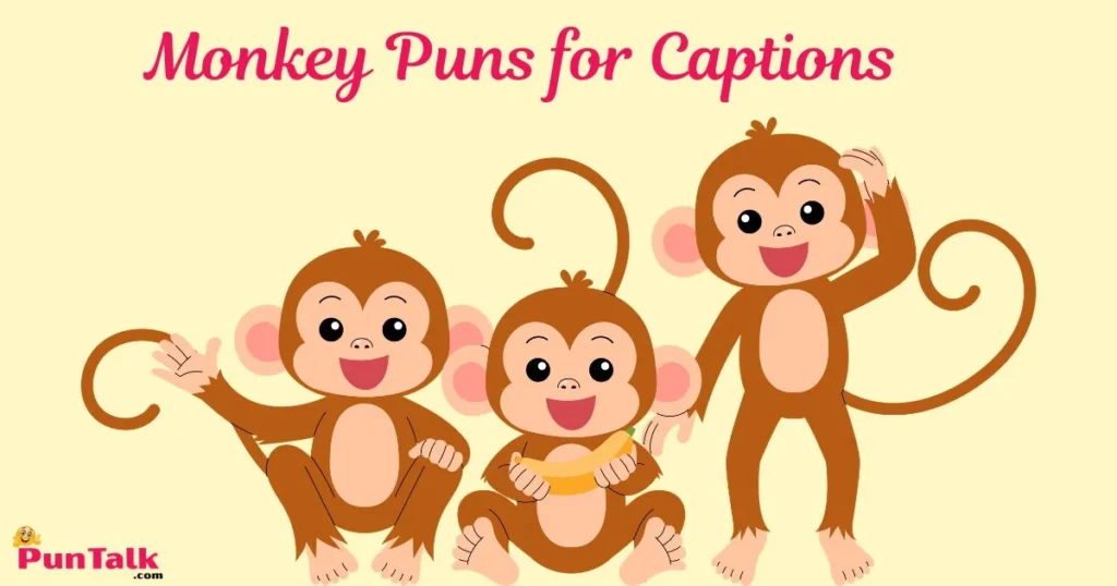 Monkey Puns For Captions