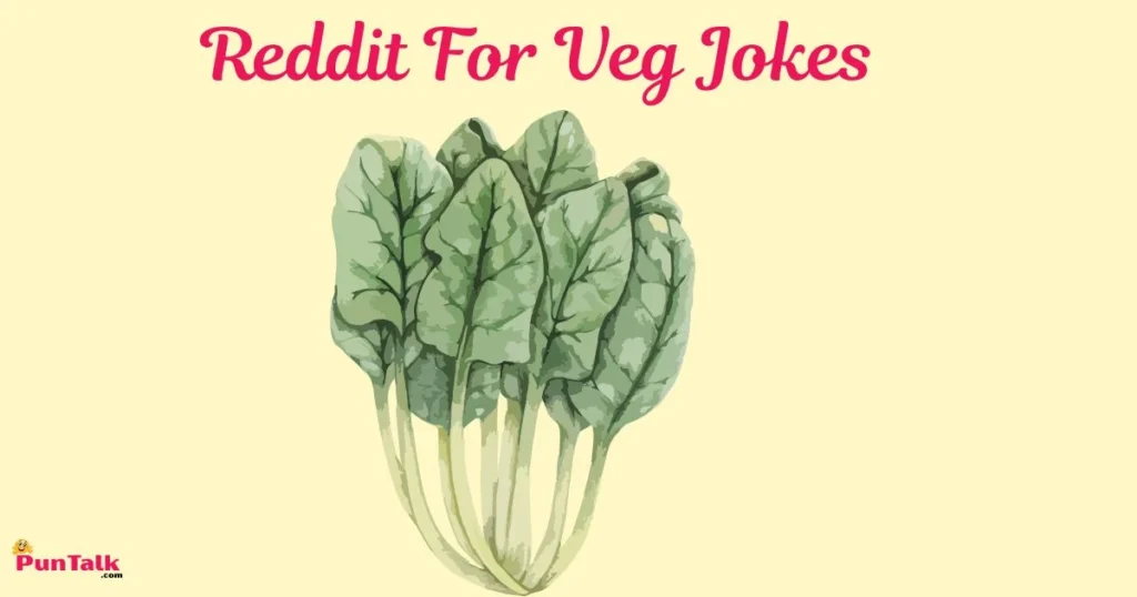 Reddit For Veg Jokes