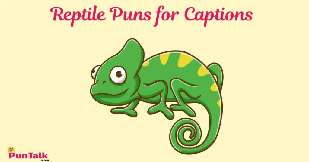 Reptile Puns For Captions