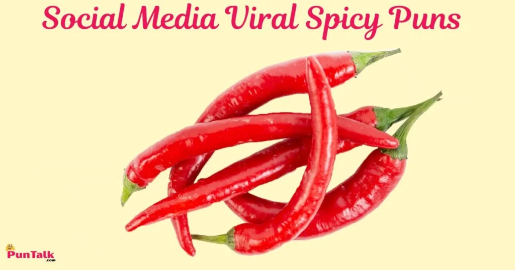 Social Media Viral Spicy Puns