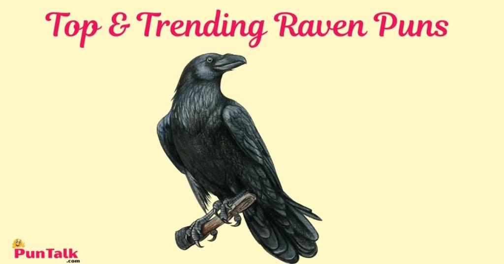 Top And Trending Raven Puns